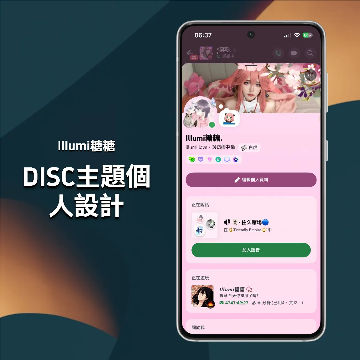DISC主題個人設計
